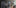 Scout + Amazon Alexa Update