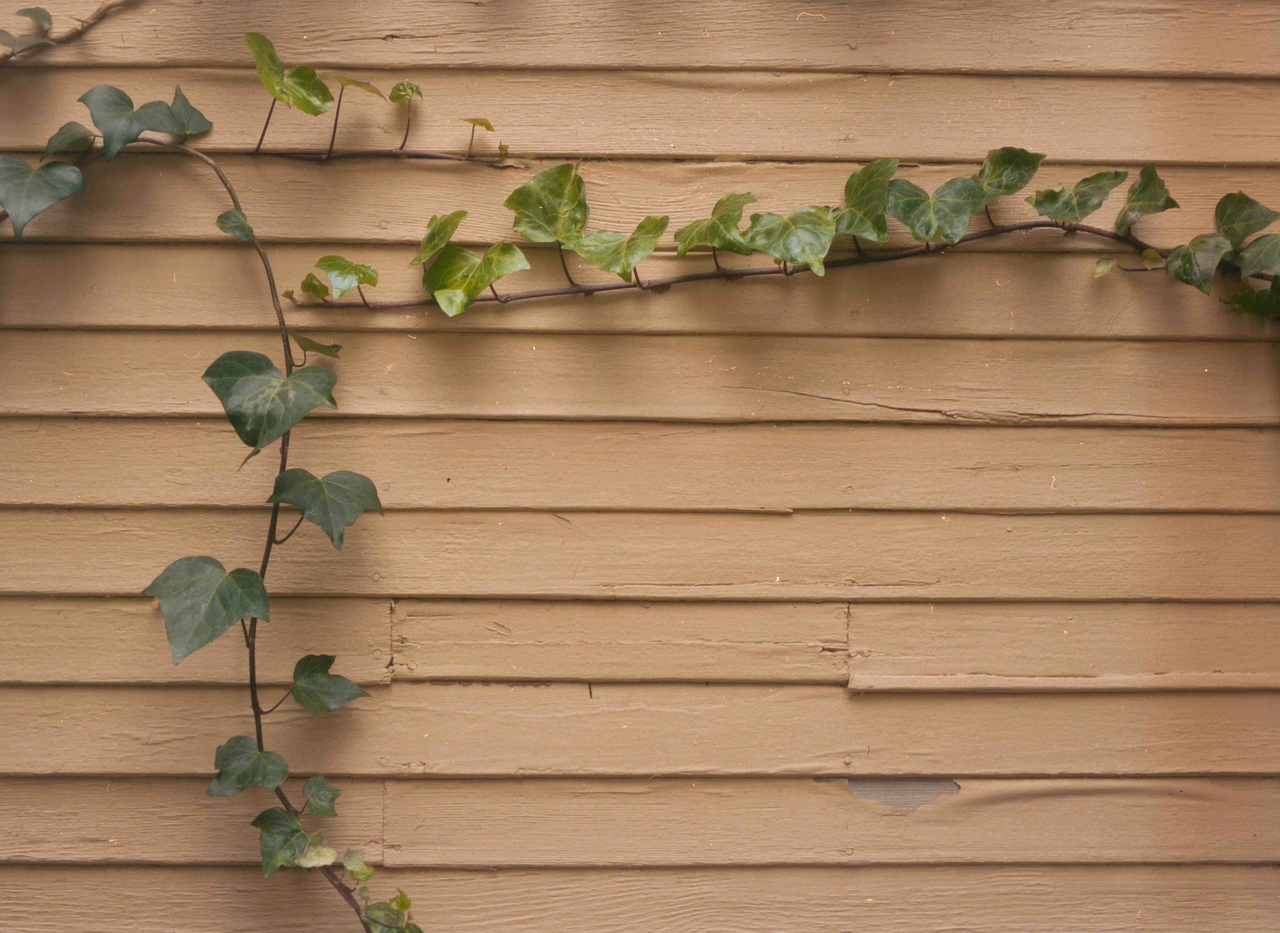 What is a Norman Door? Scout Alarm